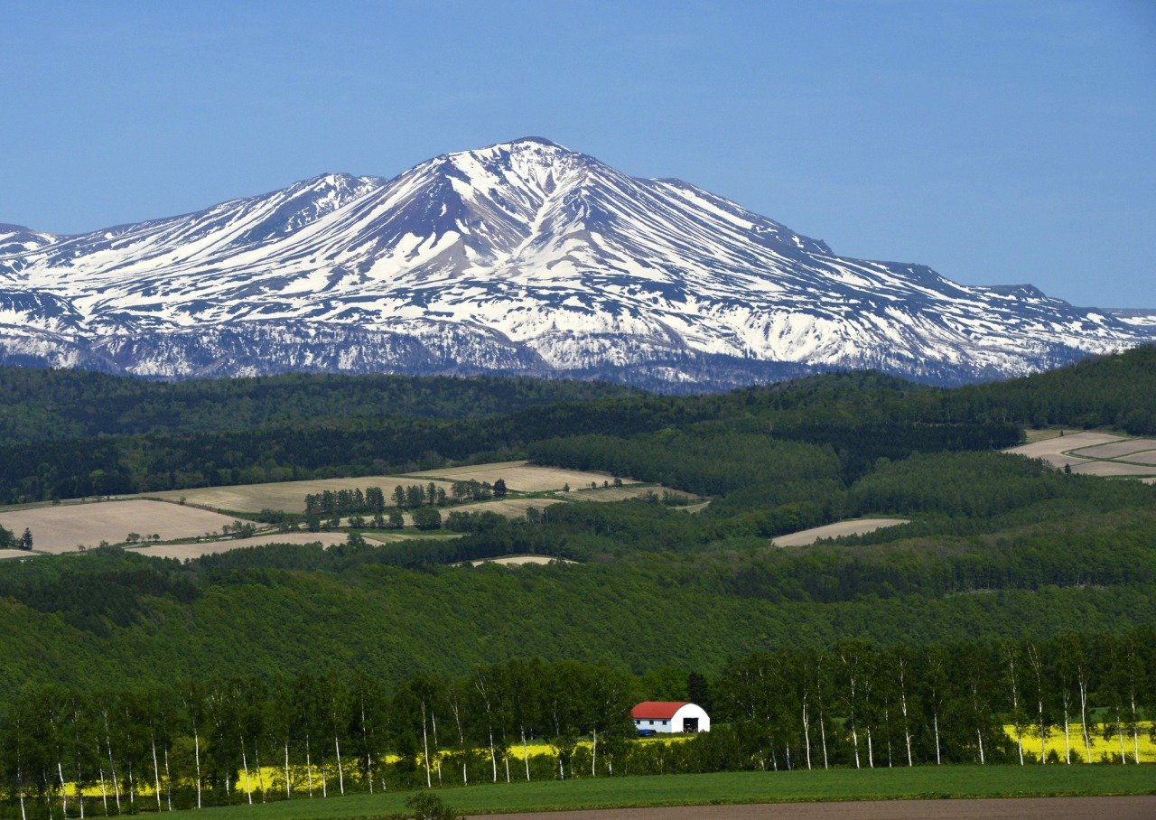 🏞️ 슈지츠 언덕(슈지츠노오카) 이미지 7